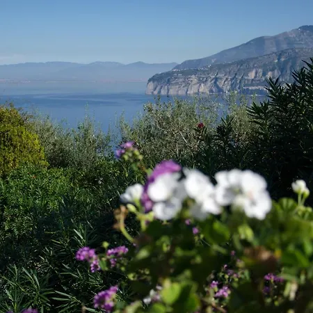 Grand Aminta Hotel