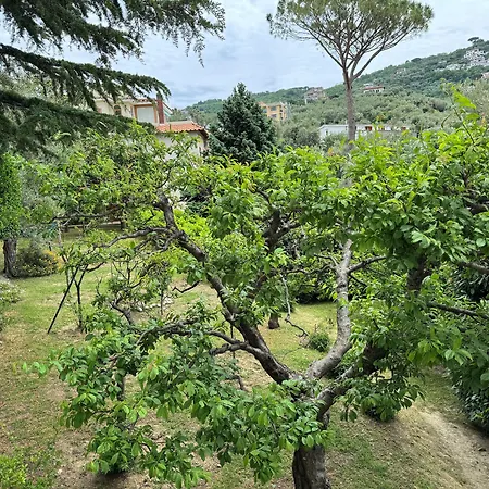 Grand Aminta Hotel