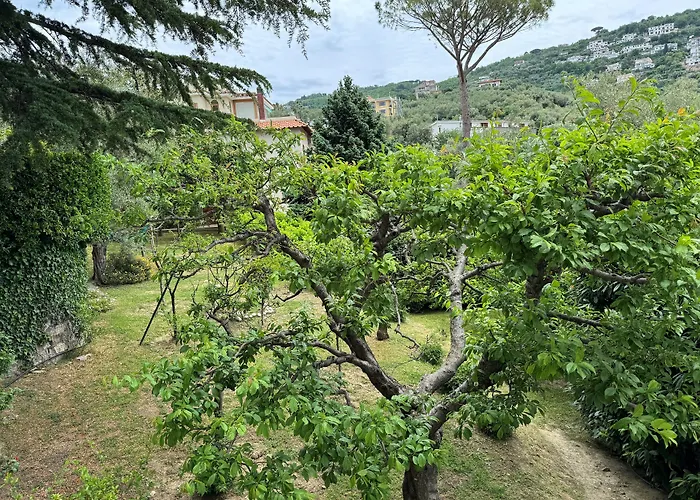 غراند أمينتا فندق